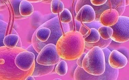 肿瘤免疫治疗与肿瘤生物学治疗有哪些区别