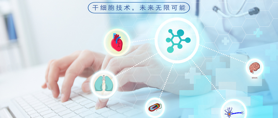 什么是干细胞？干细胞有哪些功能?