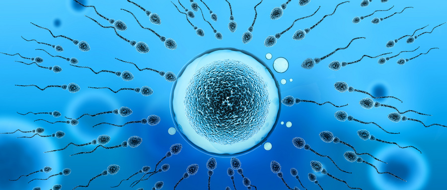 做试管婴儿前需要了解男性精子的质量