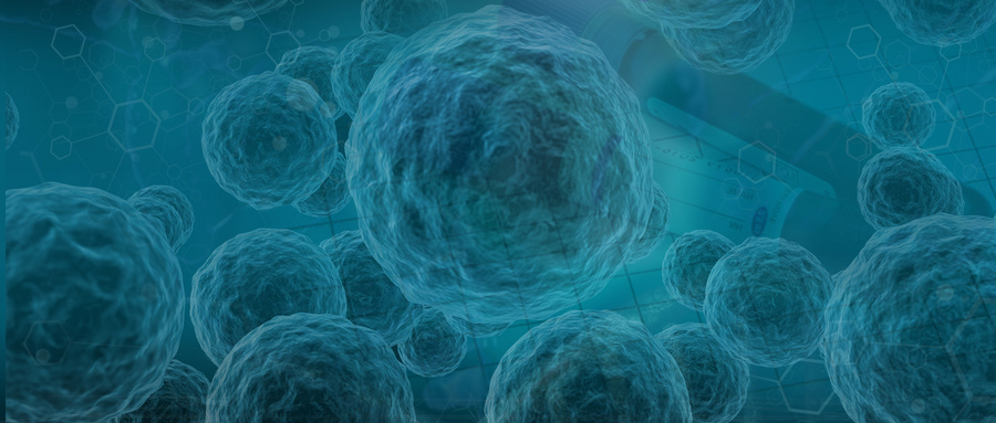 Stem cell therapy repairs necrosis of the femoral head.
