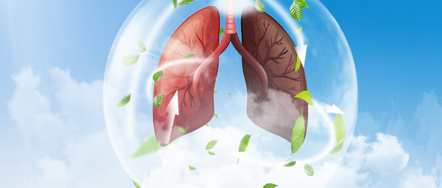 How is cancer diagnosed and treated?